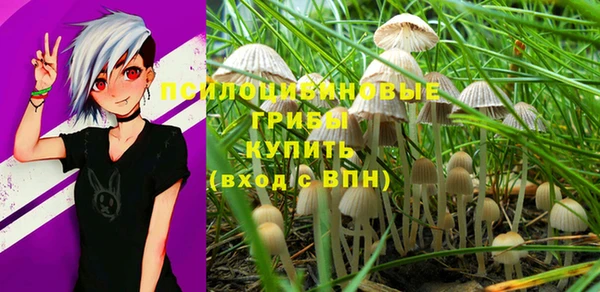гашик Арсеньев