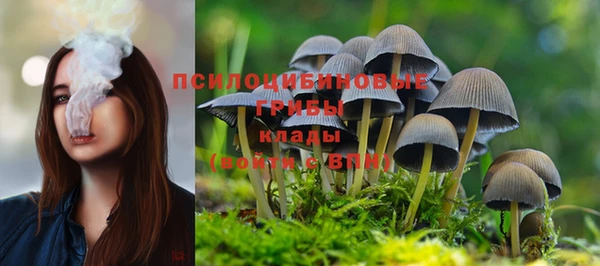 а пвп мука Армянск