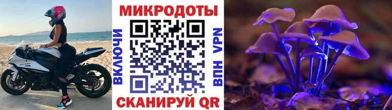 Купить  Голицыно  Псилоцибиновые грибы Psilocybe 